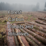 Foggy forest and stacked logs with text “Forest Carbon Credits and Initiatives.”